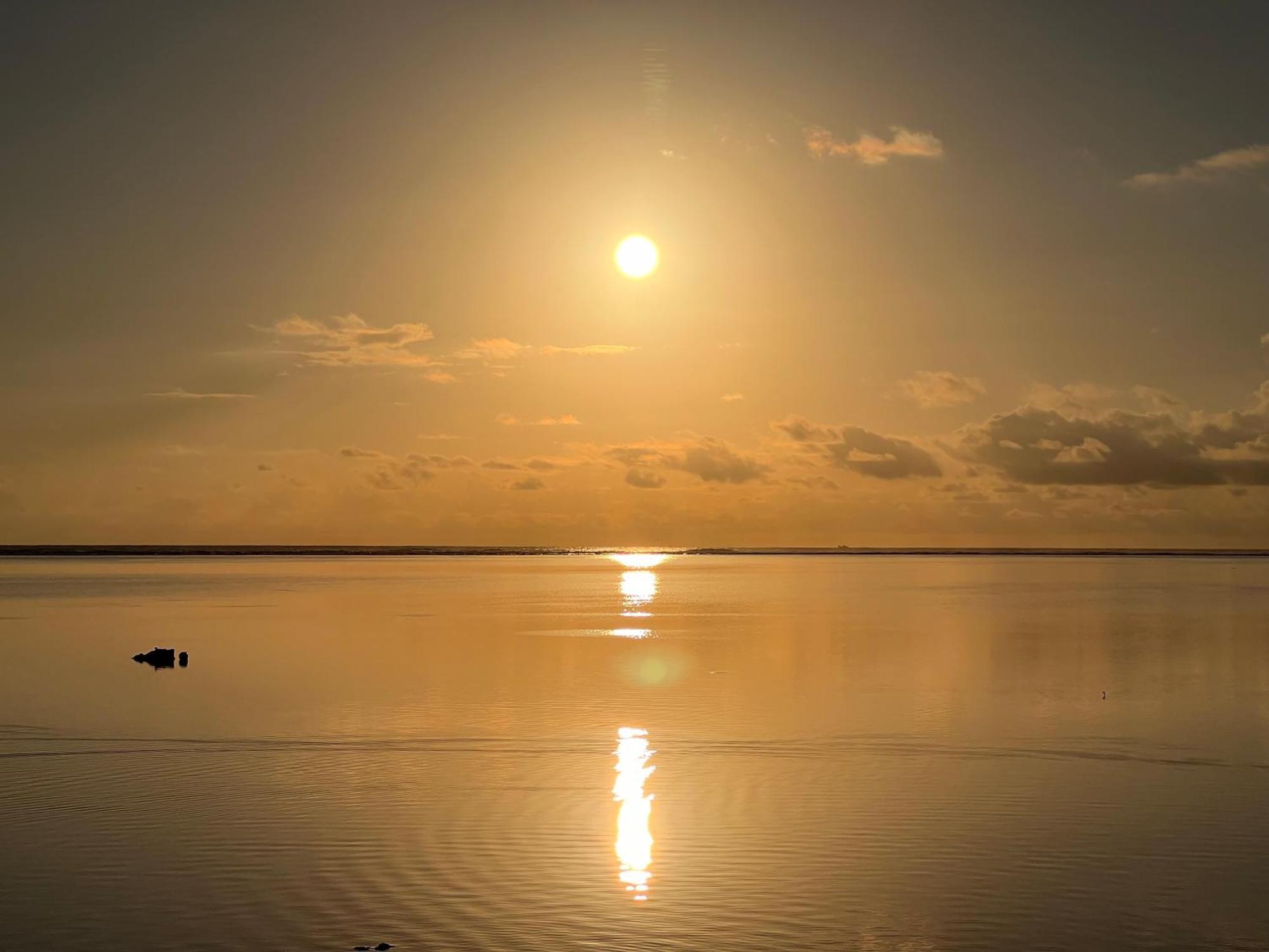 星降る夜と天然木の香りに包まれる新築癒しの隠れ家ishigaki Villa En えん Dış mekan fotoğraf